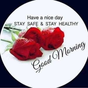 Meet your Posher, Ruth